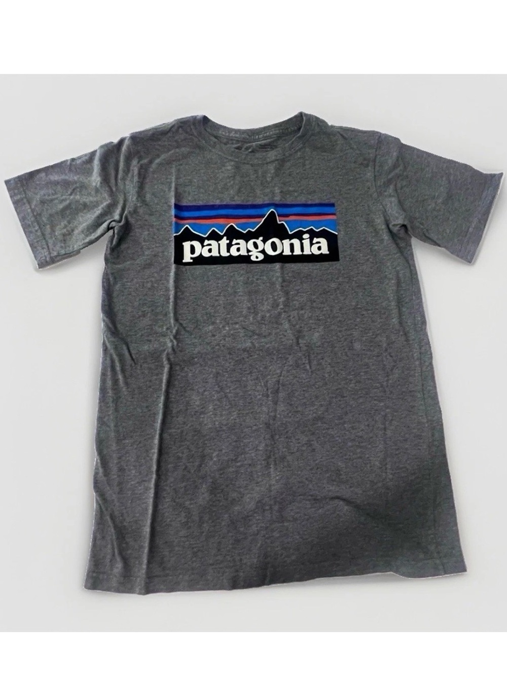 Patagonia Boy's Gray Short-Sleeve Logo Tee with Blue & Purple Stripe size 12